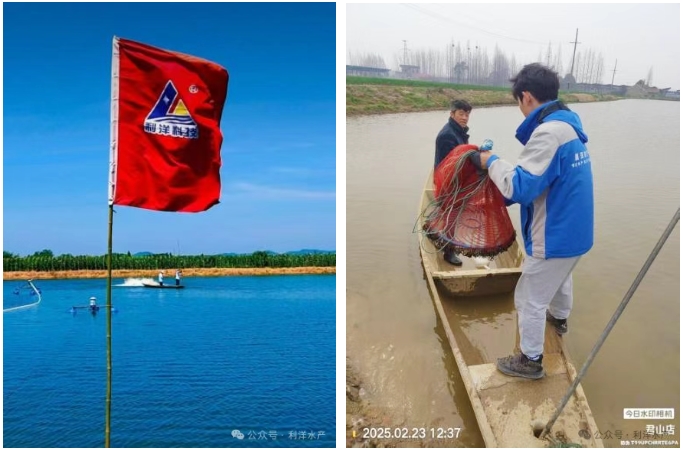 1756286774886528.jpg 141.jpg