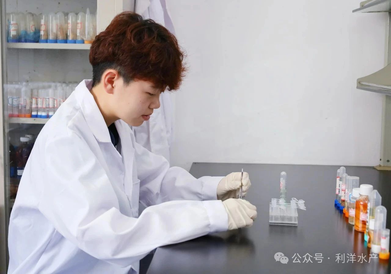 1756287565501850.jpg 144.jpg