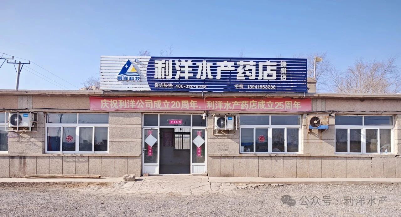 1756287605245441.jpg 145.jpg